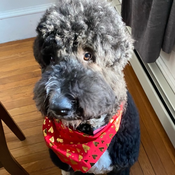 Meet your Posher, Agnieszka - Picture 2 of 3